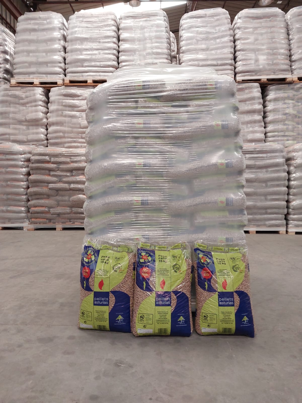 Pellets Asturias